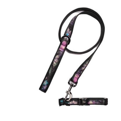 Fetch Pet Collar and Leash Set