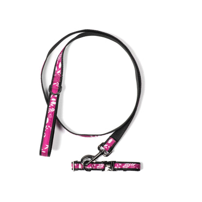 Fetch Pet Collar and Leash Set