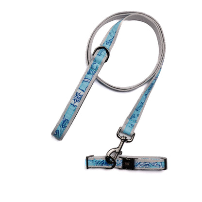 Fetch Pet Collar and Leash Set